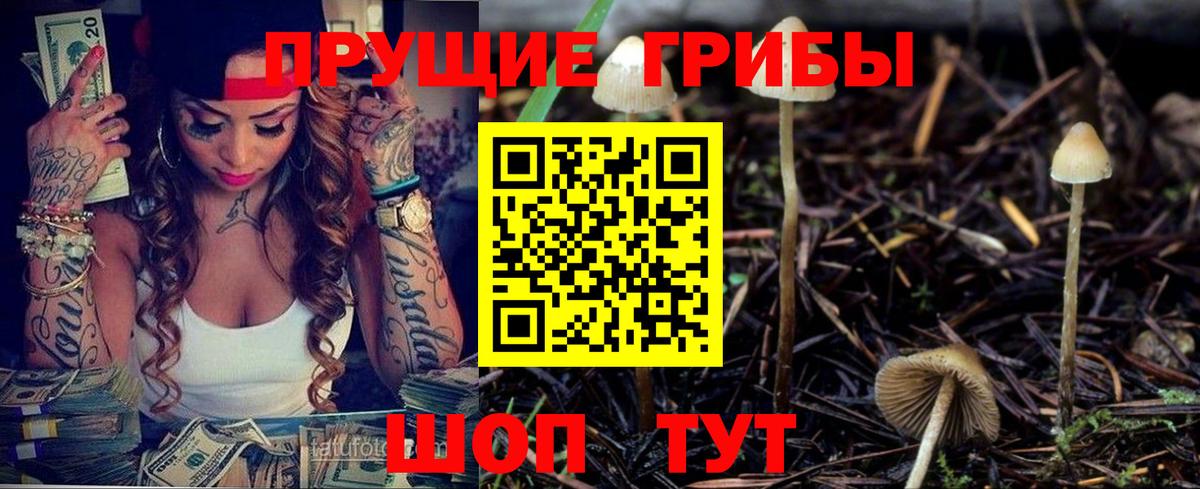Псилоцибиновые грибы Psilocybine cubensis  Вход с VPN  цена   Медногорск 